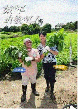 推理现场 综艺节目免费观看